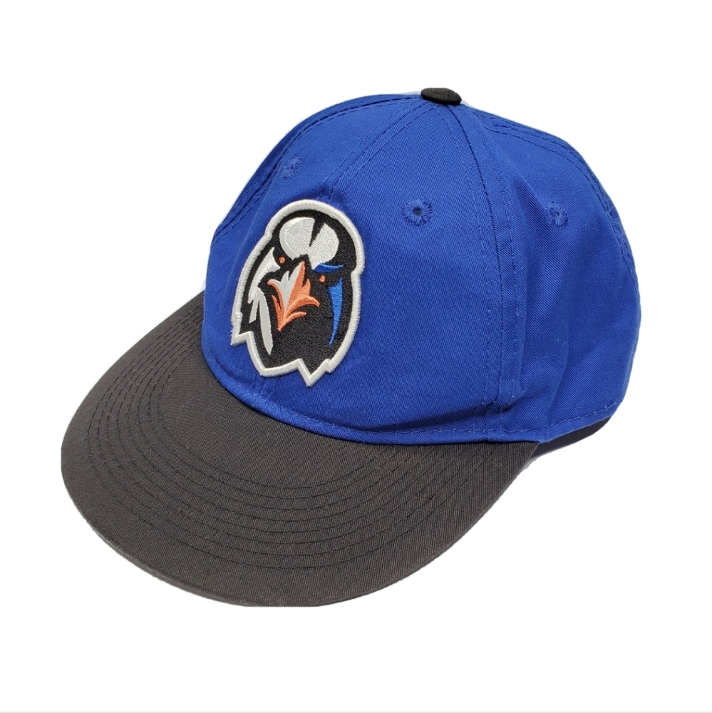 OC Sports Aberdeen Ironbirds Minor League Baseball